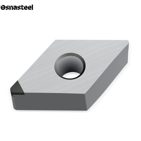 DNGA S1