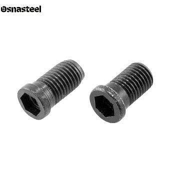 AAV-06-M3.5X11 винт для опорной пластины AKKO